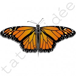 Motyl Pomarańczowy