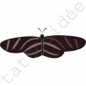 Motyl Czarny