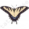 Motyl Beżowy