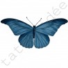 Motyl Niebieski