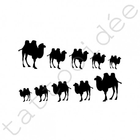 Na Paznokcie - Wielbłądy