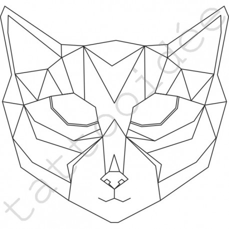 Kot