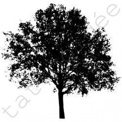 Drzewo 01