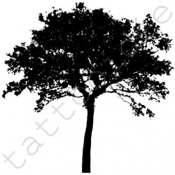 Drzewo 03