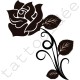 Róża 06
